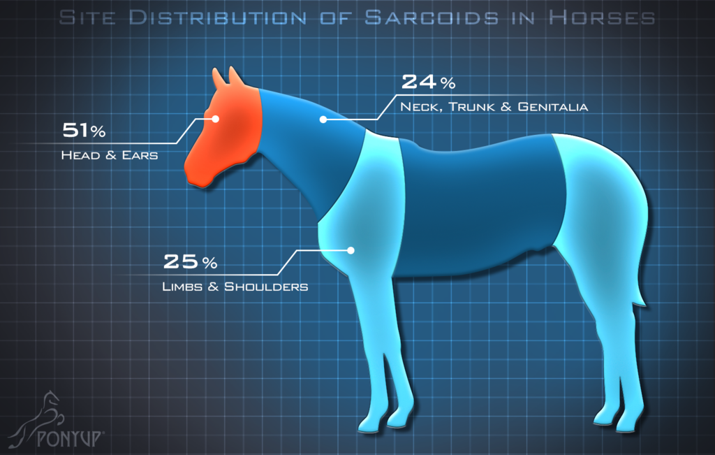 Site Distribution of Sarcoids in Horses